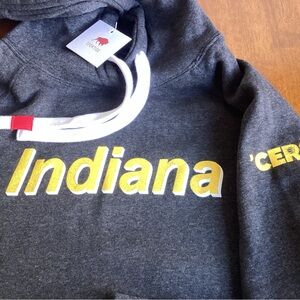 Gray Indiana Hoodie